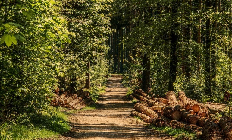 Explore the Forest of Bowland From Your Private Caravan Park